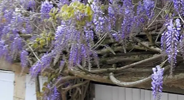 Le Tabellion, Varaa Bed and Breakfast Noyers-sur-Serein Yonne