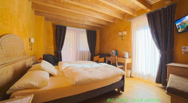 Двухместный номер Standard Bio Hotel Villa Cecilia