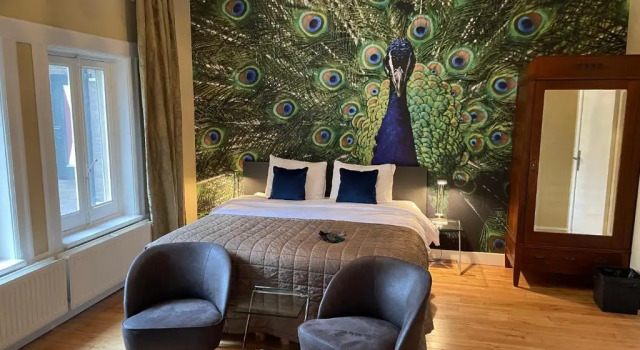 Номер Deluxe Villa Rozenhof