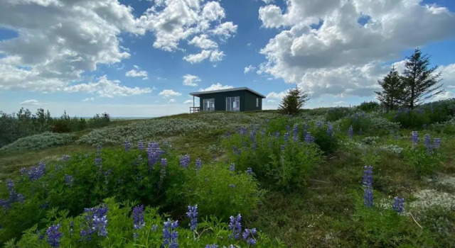 Коттедж Skeiðvellir Panorama house