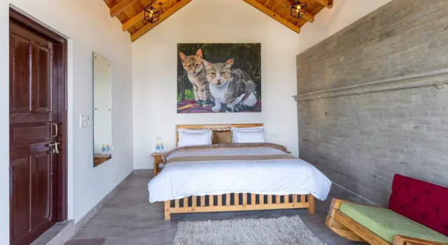 Люкс Shree Parijat Resort