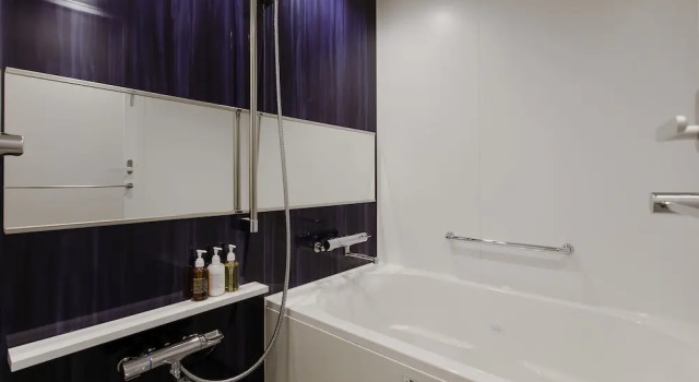 Двухместный номер Premium Hotel Gracery Kyoto Sanjo
