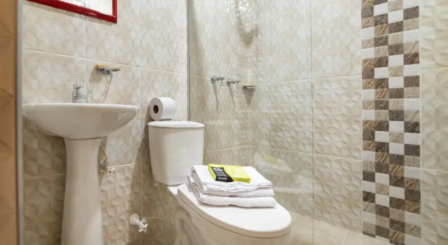 Номер Standard Ayenda 1238 Nuevo Colombia