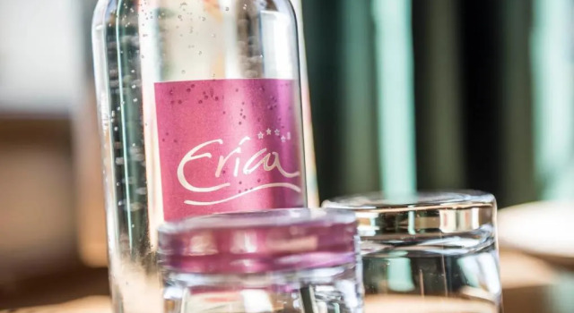 Номер Superior Erica Wellness and Vitality Hotel