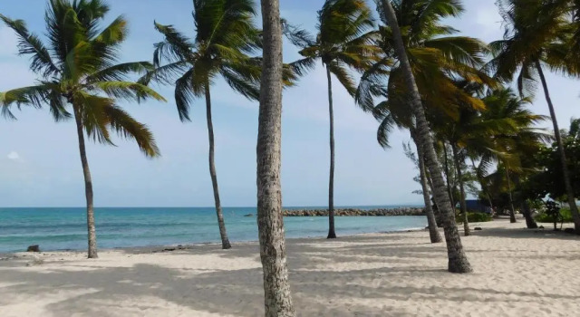 Апартаменты Studio West-indies résidence Savane et Archipel