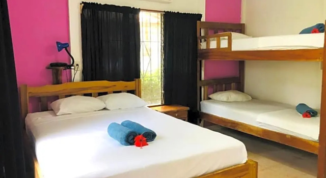 Номер Standard Hotel Isolina Beach