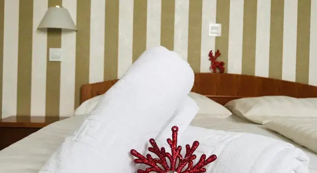 Номер Standard Hotel Bajt Maribor