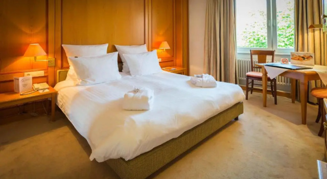 Двухместный номер Standard Hotel & Spa A la cour dAlsace by HappyCulture