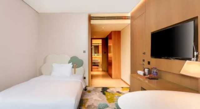 Люкс Deluxe Hilton Garden Inn Hangzhou Luniao Xinhu