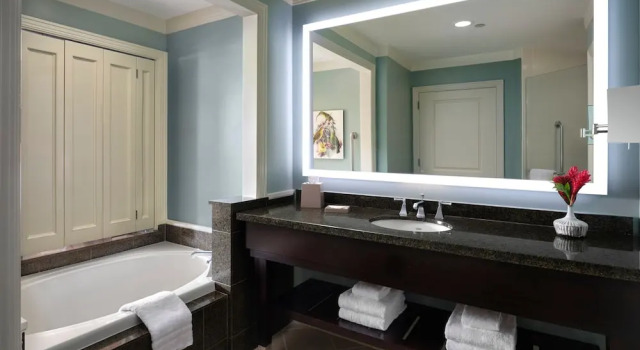 Двухместная студия The Westin Kaanapali Ocean Resort Villas