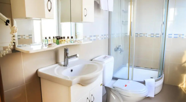 Трёхместный номер Standard Anka Business Park Hotel
