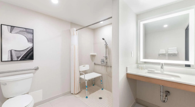 Двухместный номер Standard Hilton Garden Inn Toronto Airport
