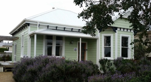Lavender53