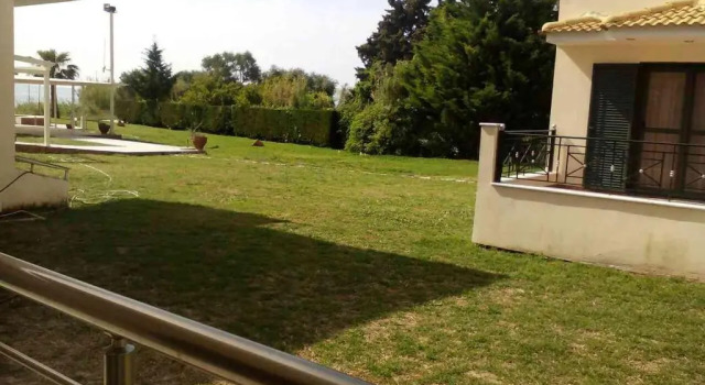 Студия Coralli Hotel