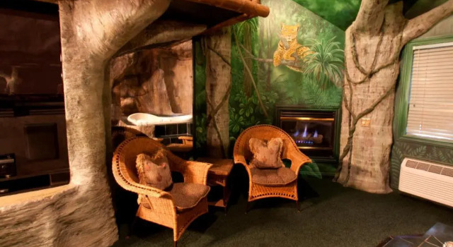 Номер Standard Black Swan Inn Luxurious Theme Rooms