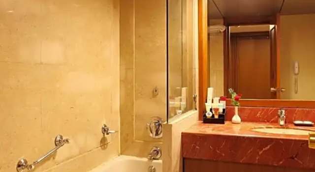 Двухместный номер Executive Hotel Aurora Towers