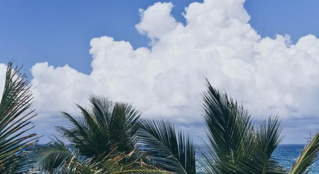 Двухместный номер Standard с балконом и с видом на бассейн Tideline Palm Beach Ocean Resort and Spa