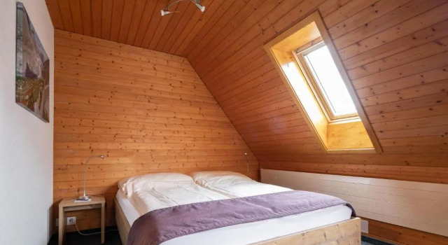 Двухместный номер Standard Мансарда Hotel Lötschberg