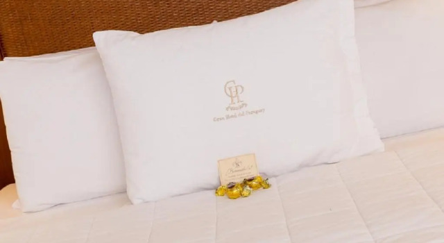 Номер Standard Gran Hotel del Paraguay
