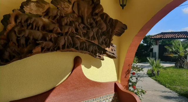 Номер Economy Villa Paraiso