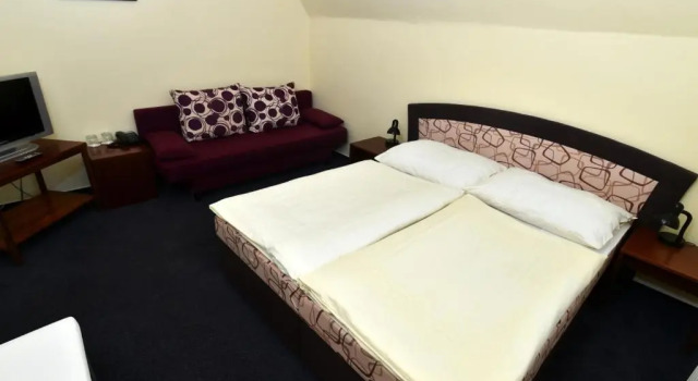 Двухместный номер Standard Hotel U Jezírka