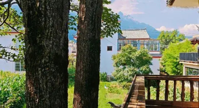 Moshang Qichi | Sunlit Golden Peaks·Snow Mountain Moonlit Zen Garden Resort (Baisha Ancient Town), Prenota Resort Lijiang Yunnan
