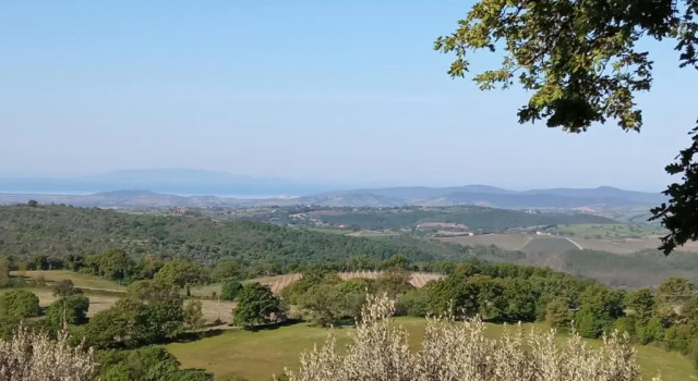Номер Standard AGRITURISMO LA CIVITELLA