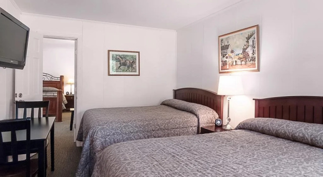 Birches Motel, Prenota Motel Wilton Stati Uniti