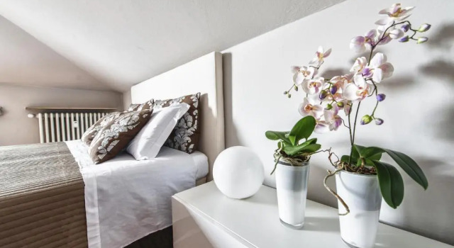 Студия Cute & Cozy Terrace