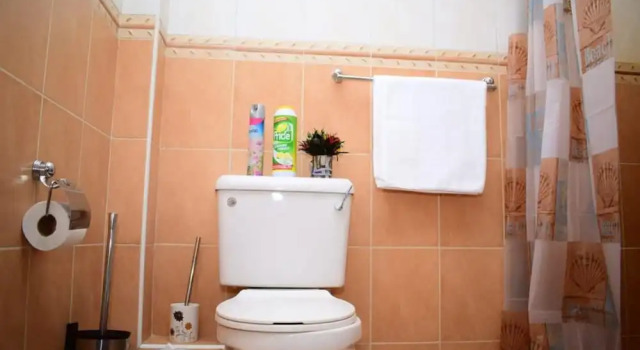 Номер Standard Safari Homes and Tours