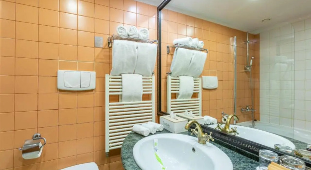 Полулюкс Alpin Resort Hotel