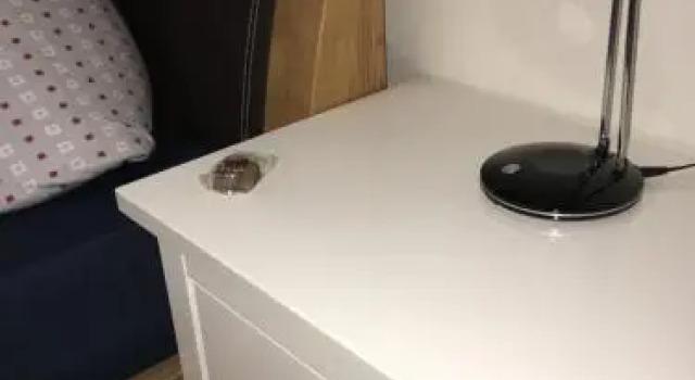 Ferienwohnung Ibald