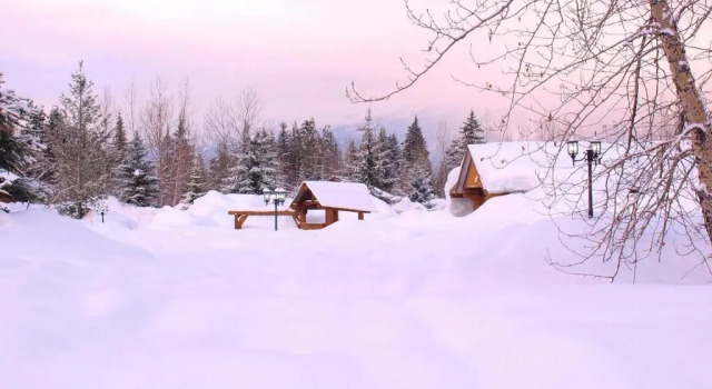 Номер Standard Glacier House Hotel & Resort