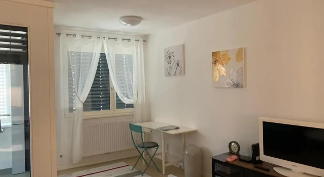 Apartment Ilica Newish