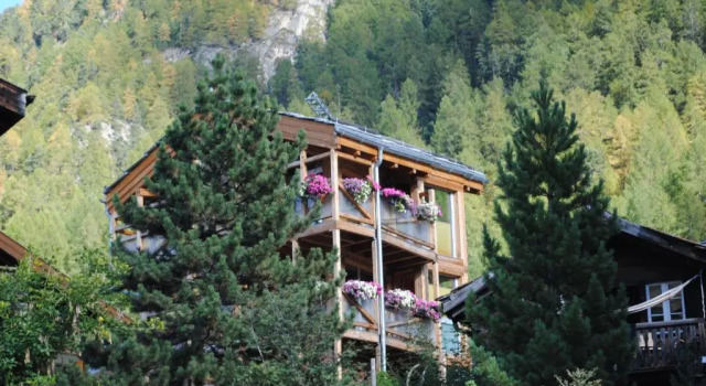 Шале Chalet Schwalbennest