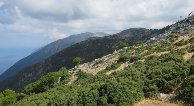 Коттедж с 2 комнатами Villa Fotini