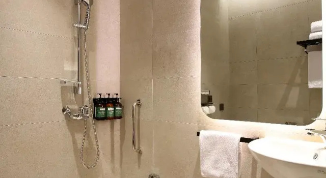 Двухместный номер Deluxe voco Seoul Gangnam by IHG