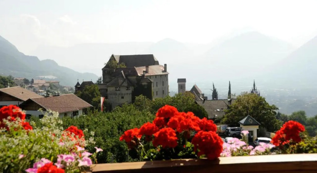 Двухместный номер Standard Hotel Erzherzog Johann