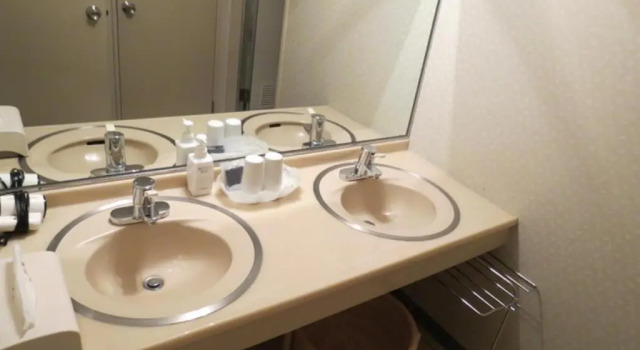 Двухместный номер Azumino Hotaka View Hotel