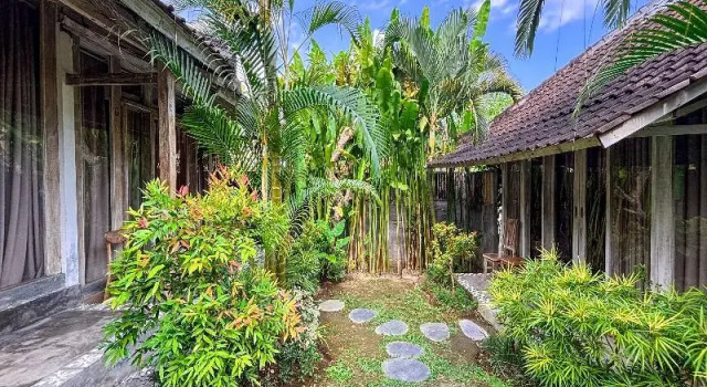 Двухместный номер Deluxe Villa Alisha