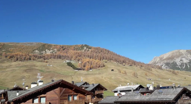 Двухместный номер Standard Garni Al Silvestri Vei