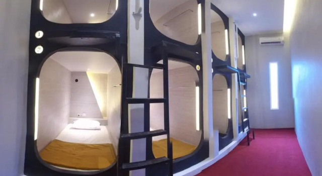 Cama en dormitorio compartido The Packerbox Hostel