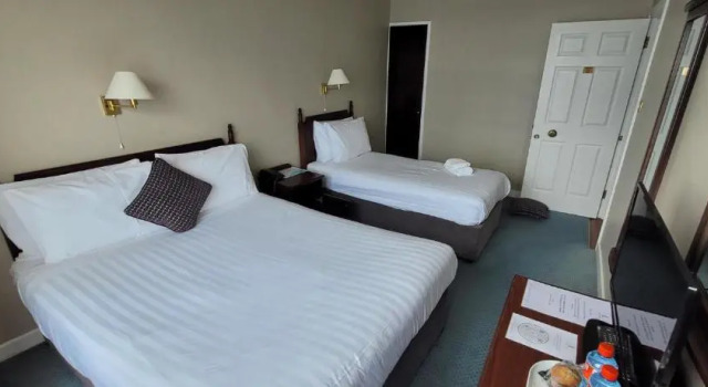 Семейный номер Standard с видом на море Commodore Hotel