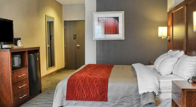 Люкс c 1 комнатой Comfort Inn Ruther Glen near Kings Dominion