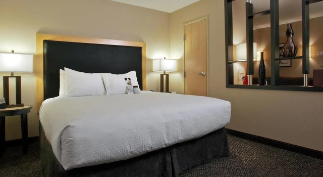 Полулюкс с 2 комнатами DoubleTree by Hilton Hotel Savannah Airport