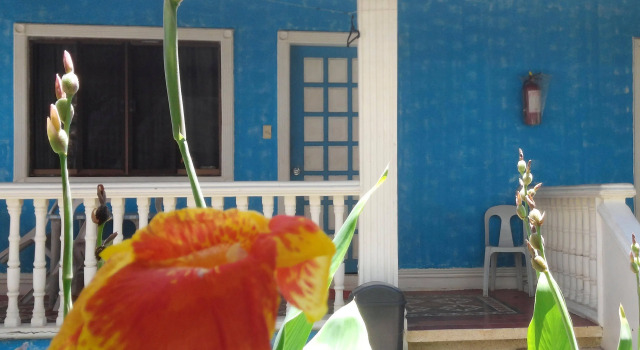 Roligon Resort