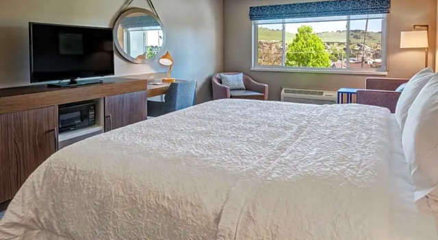 Двухместный номер Standard c 1 комнатой Hampton Inn Discovery Kingdom Napa Gateway
