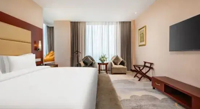 Люкс Business Wuhu Bary Central City Hotel