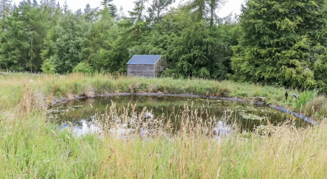Коттедж The Barn