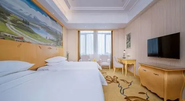 Люкс Vienna International Hotel (Zongguan Subway Station Hanxi Store